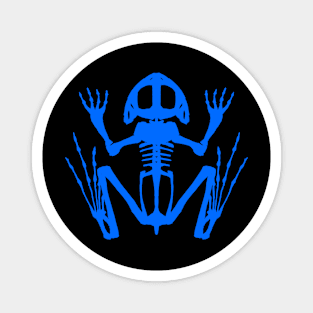 Frog Skeleton (Blue) Magnet